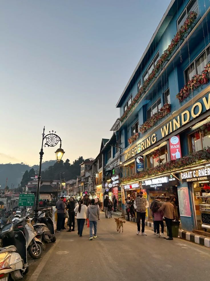 Read more about the article Escape Ordinary: Why Bunkk Inn Hotel & Restaurant is the Hidden Gem Hotel Near Mall Road Mussoorie